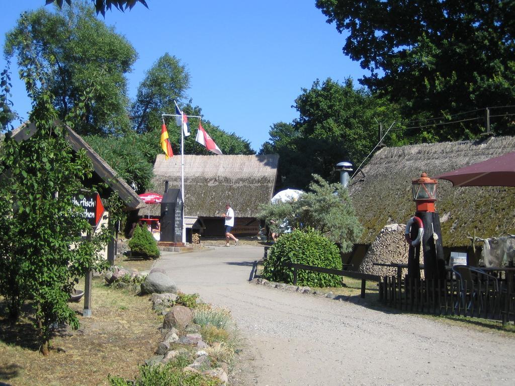 Am Kuestenwald Koserow Zewnętrze zdjęcie